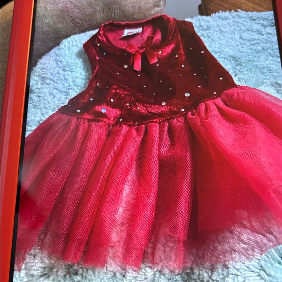 Sweetheart Dog Dress Set - Red and Pink - Picture 5 of 6